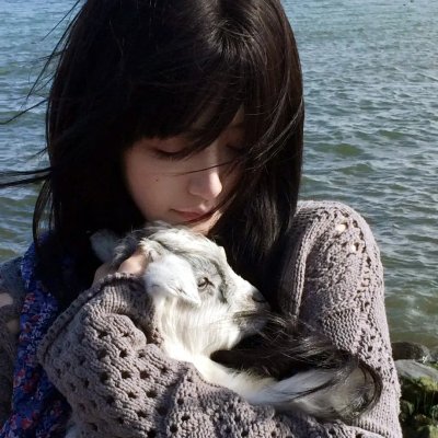 牧羊犬郁金香